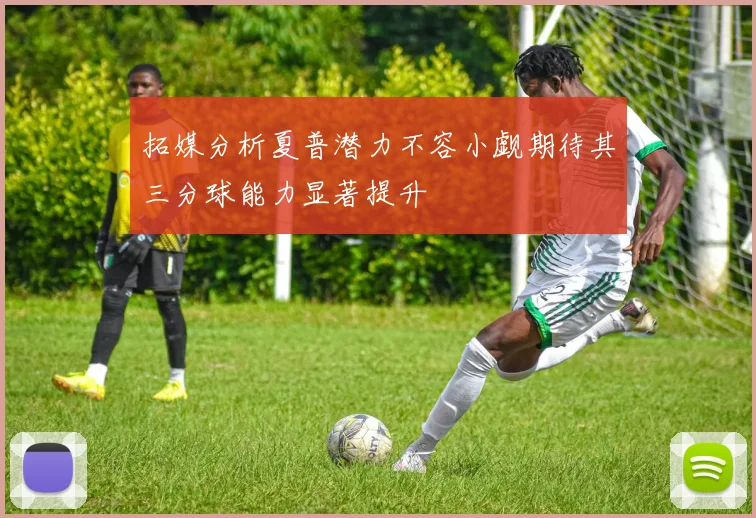 拓媒分析夏普潜力不容小觑期待其三分球能力显著提升